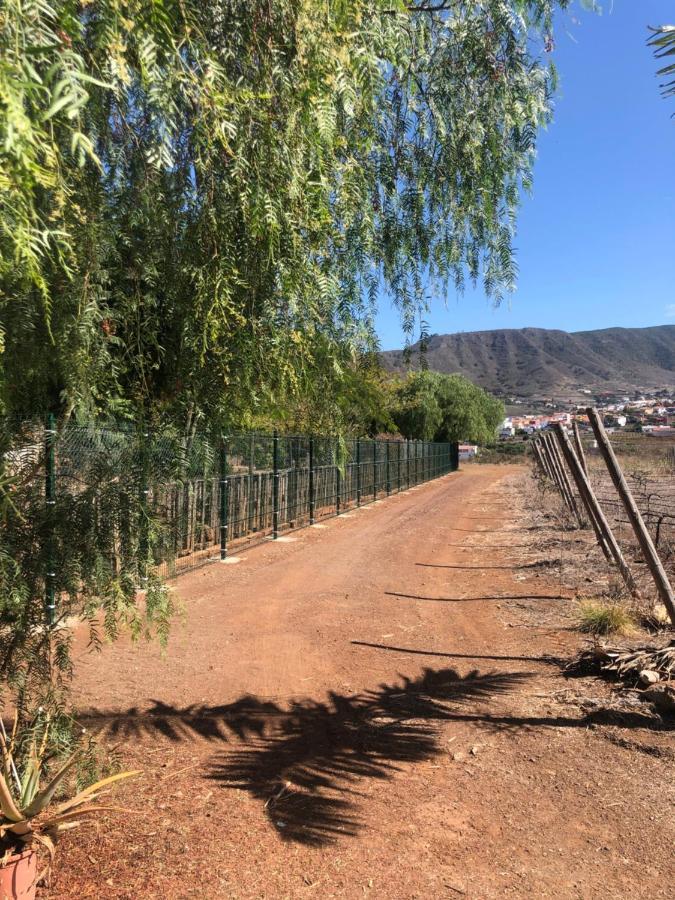 Tegueste Casita Entre Vinedos, Experiencia Rural, Ideal Ninos. מראה חיצוני תמונה