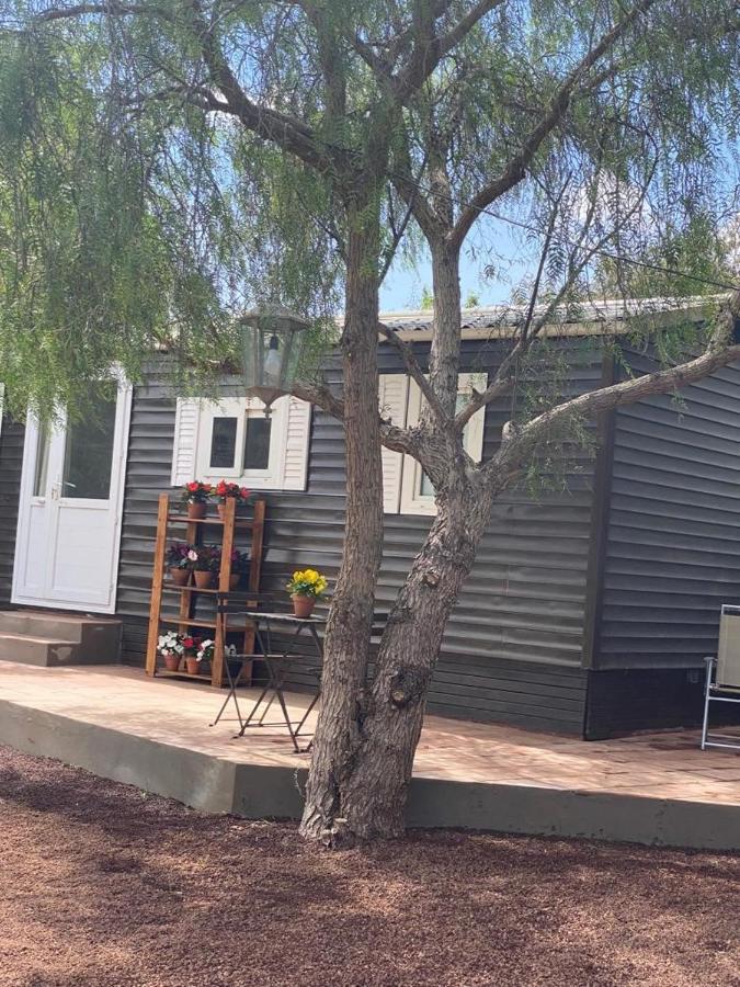 Tegueste Casita Entre Vinedos, Experiencia Rural, Ideal Ninos. מראה חיצוני תמונה