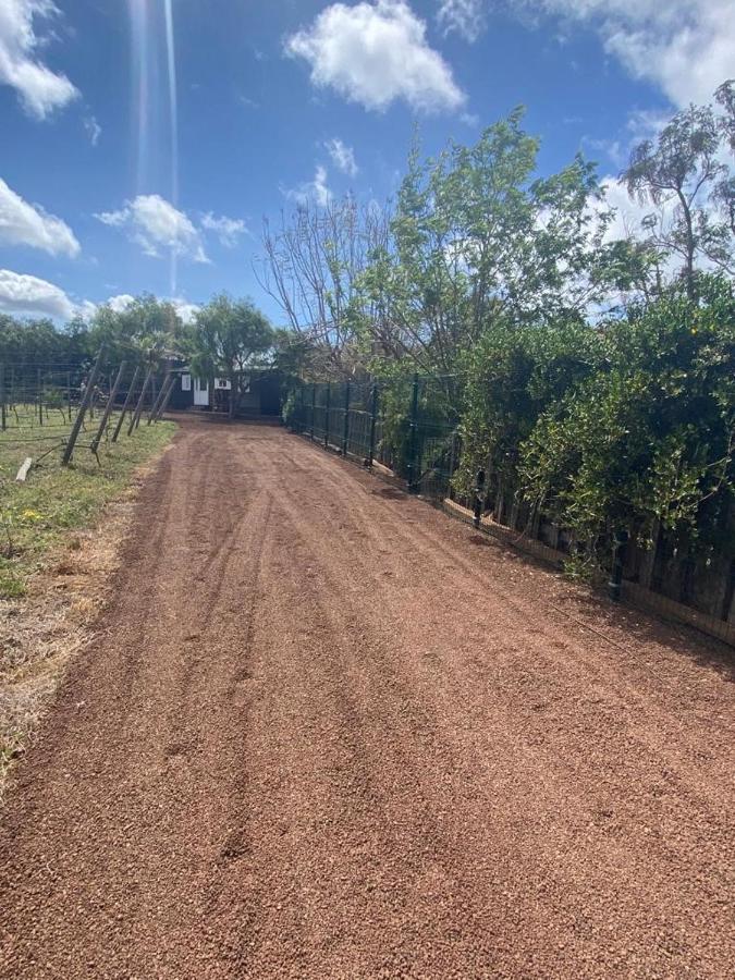 Tegueste Casita Entre Vinedos, Experiencia Rural, Ideal Ninos. מראה חיצוני תמונה