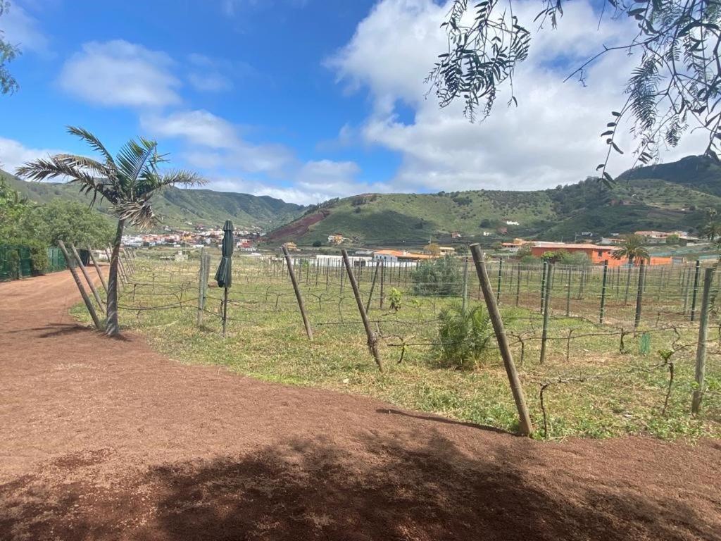 Tegueste Casita Entre Vinedos, Experiencia Rural, Ideal Ninos. מראה חיצוני תמונה