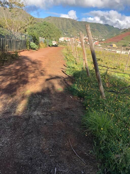 Tegueste Casita Entre Vinedos, Experiencia Rural, Ideal Ninos. מראה חיצוני תמונה
