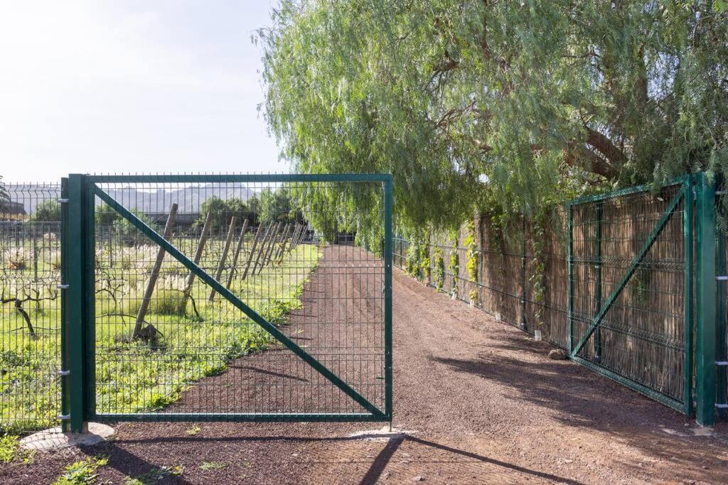 Tegueste Casita Entre Vinedos, Experiencia Rural, Ideal Ninos. מראה חיצוני תמונה