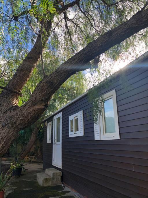 Tegueste Casita Entre Vinedos, Experiencia Rural, Ideal Ninos. מראה חיצוני תמונה