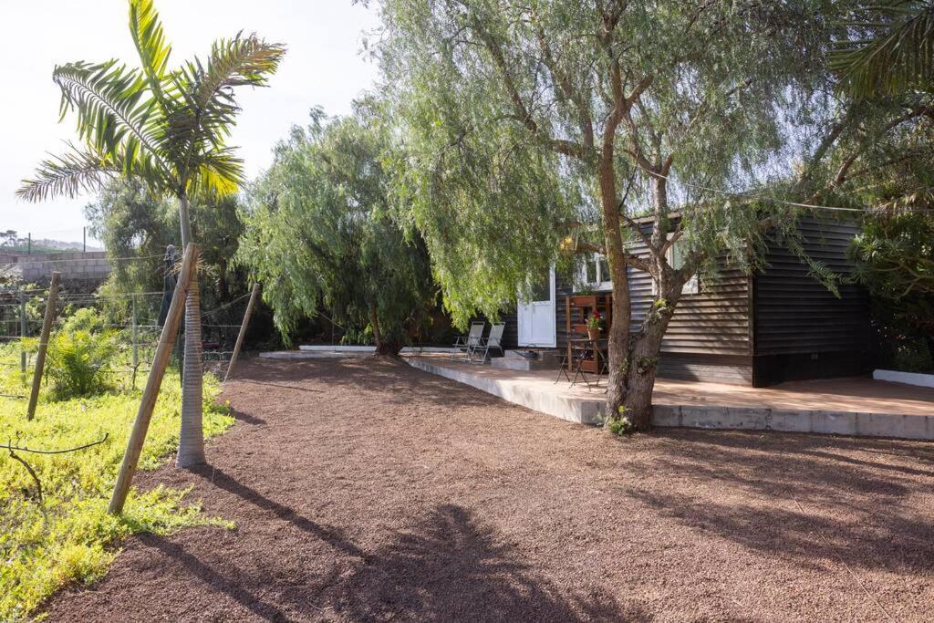 Tegueste Casita Entre Vinedos, Experiencia Rural, Ideal Ninos. מראה חיצוני תמונה